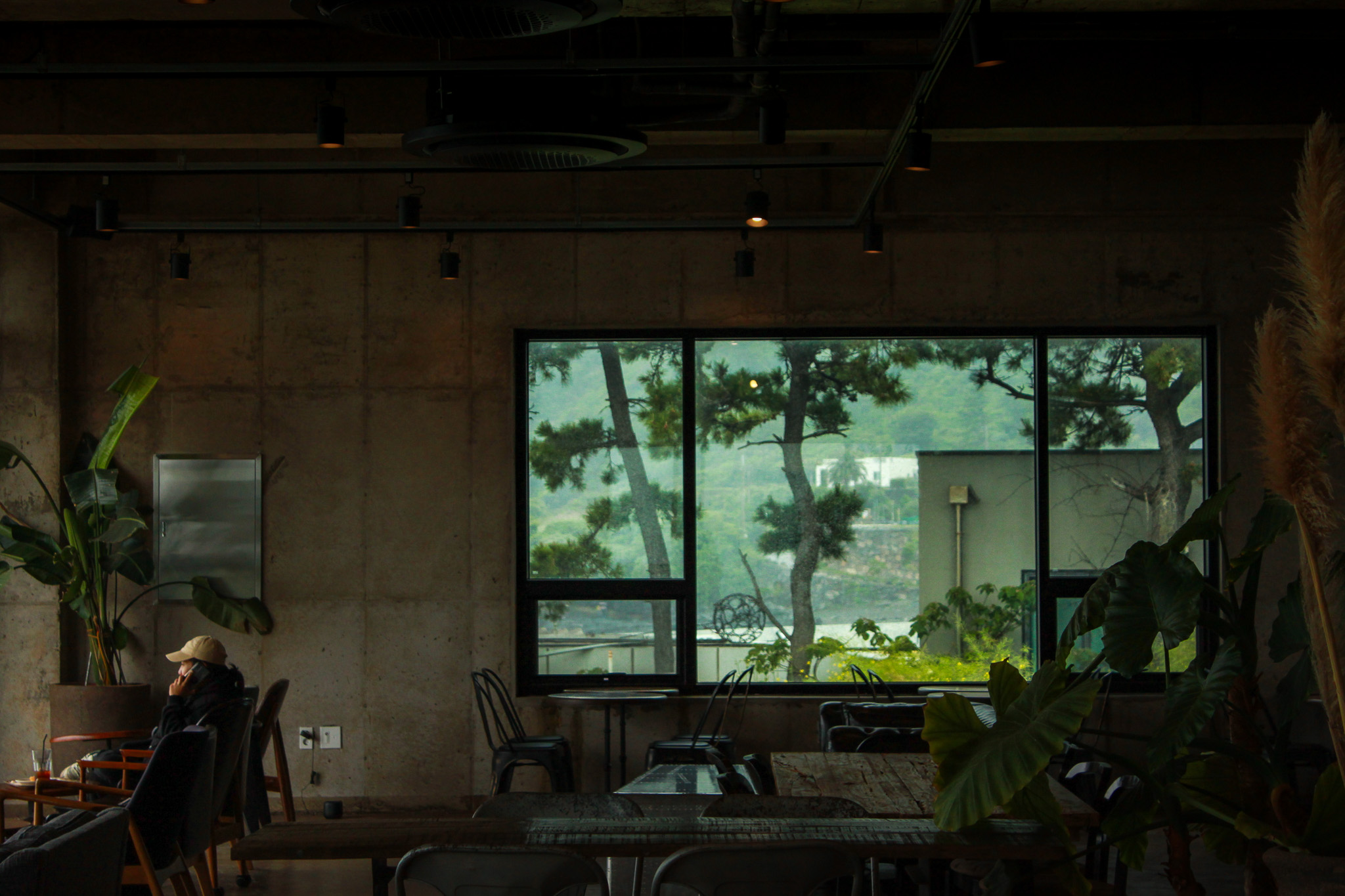 Desktop Image 1